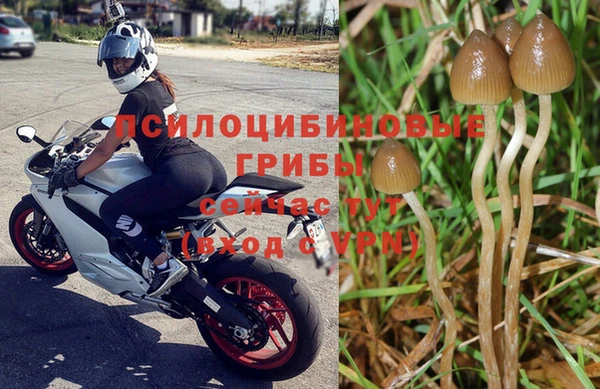 spice Абинск